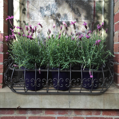 Wrought iron deals wall planters